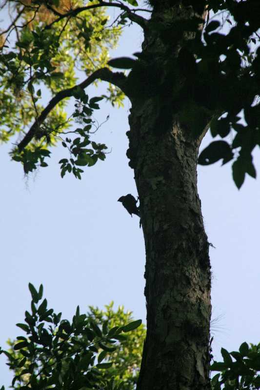 Mexico & Guatemala 2010 - 1057